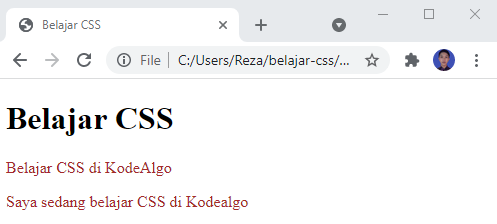 Seleksi Paragraf HTML dengan CSS